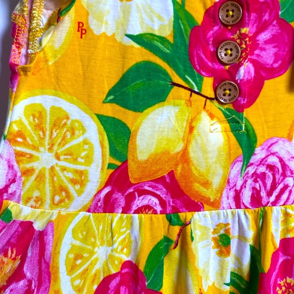 Posh peanut NWT twirl dress - Picture 3 of 3